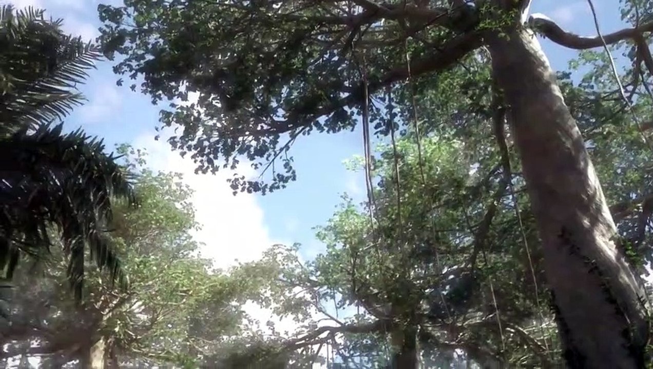 Jurassic World: Neue Abenteuer Teaser OV