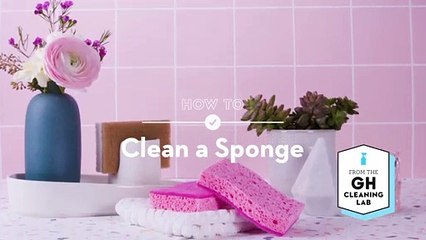 The Best Way To Clean A Sponge