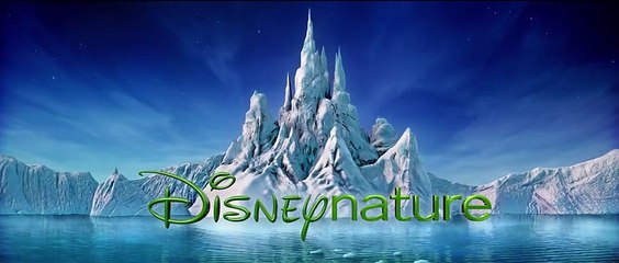 Die Reise der Pinguine 2 Trailer (2) OV