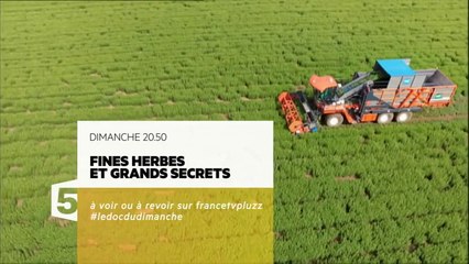 Fines herbes et grands secrets- France 5 - 20 11 16