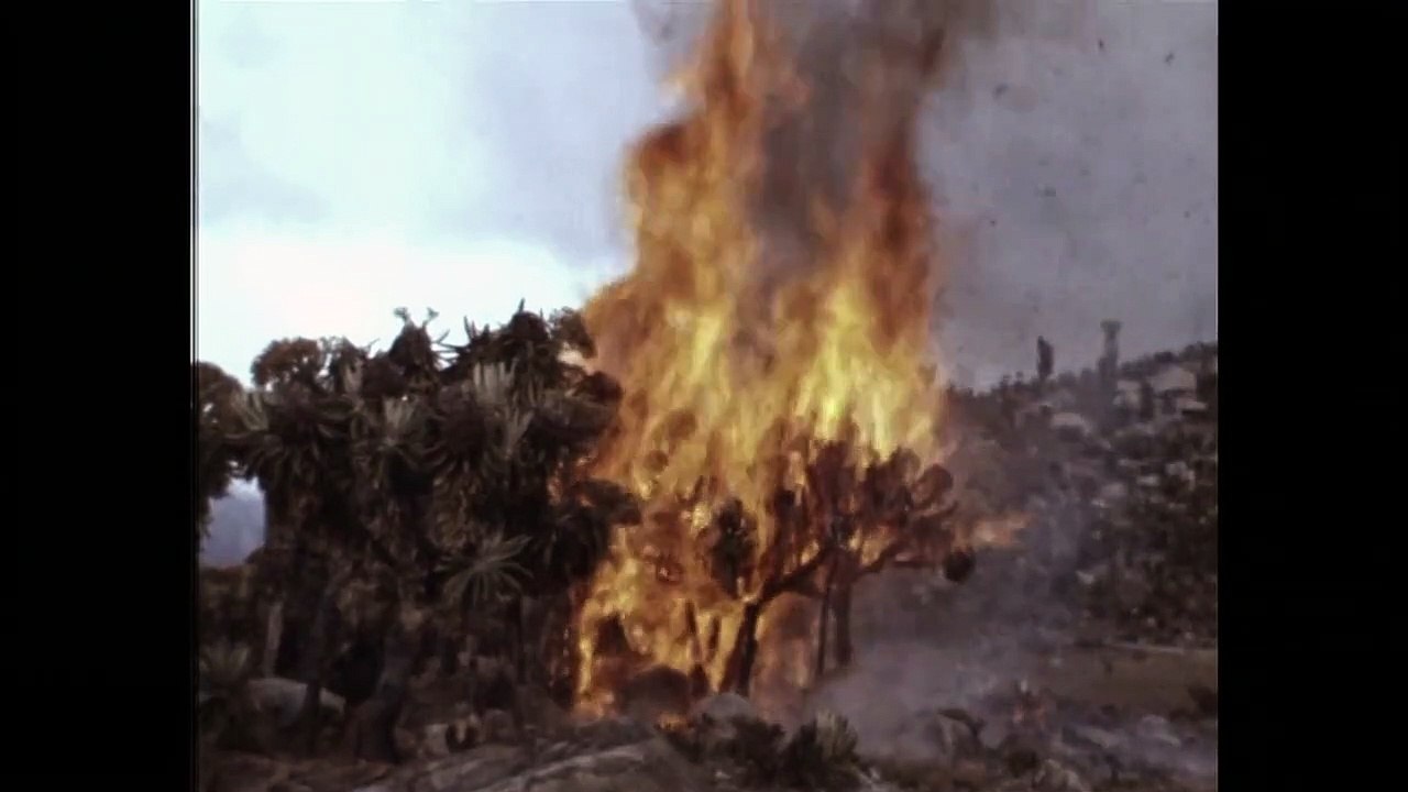 Thinking Like A Mountain Trailer DF