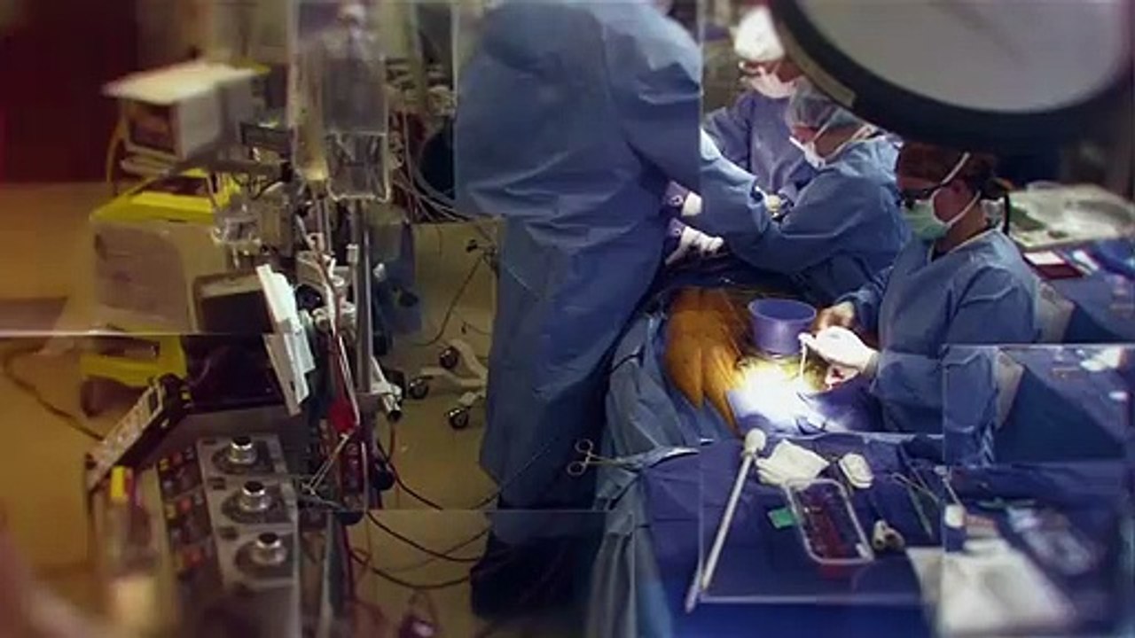 Eating You Alive Trailer DF