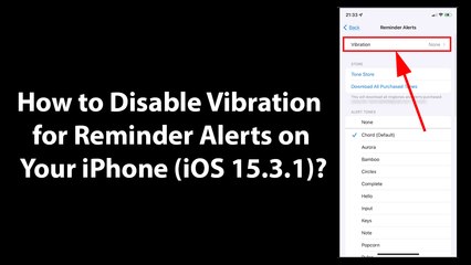 How to Disable Vibration for Reminder Alerts on Your iPhone (iOS 15.3.1)?