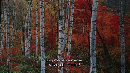 A Bright Light – Karen and the Process Trailer OV