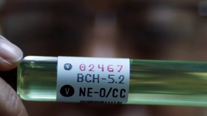 The Walking Dead: World Beyond - staffel 2 Trailer OV