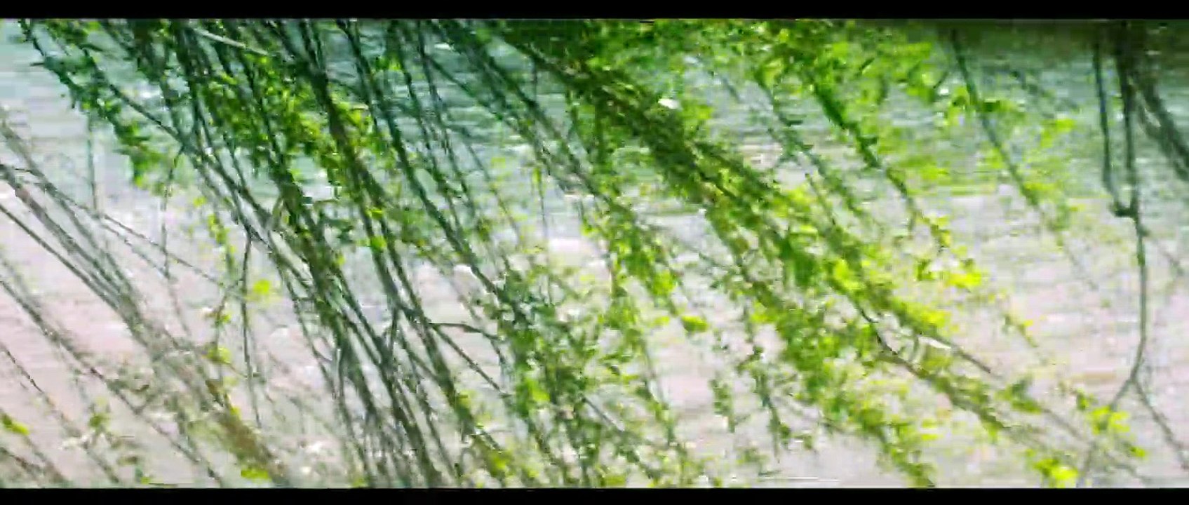 Marie Curie - Elemente des Lebens Teaser DF