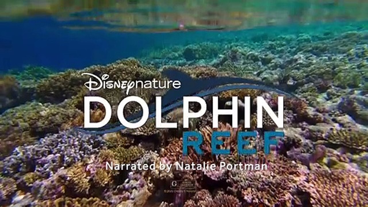 "Elephant" & "Delfine" - Disney+-Doppel-Trailer