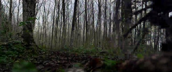 Lonesome Dove Church Trailer DF