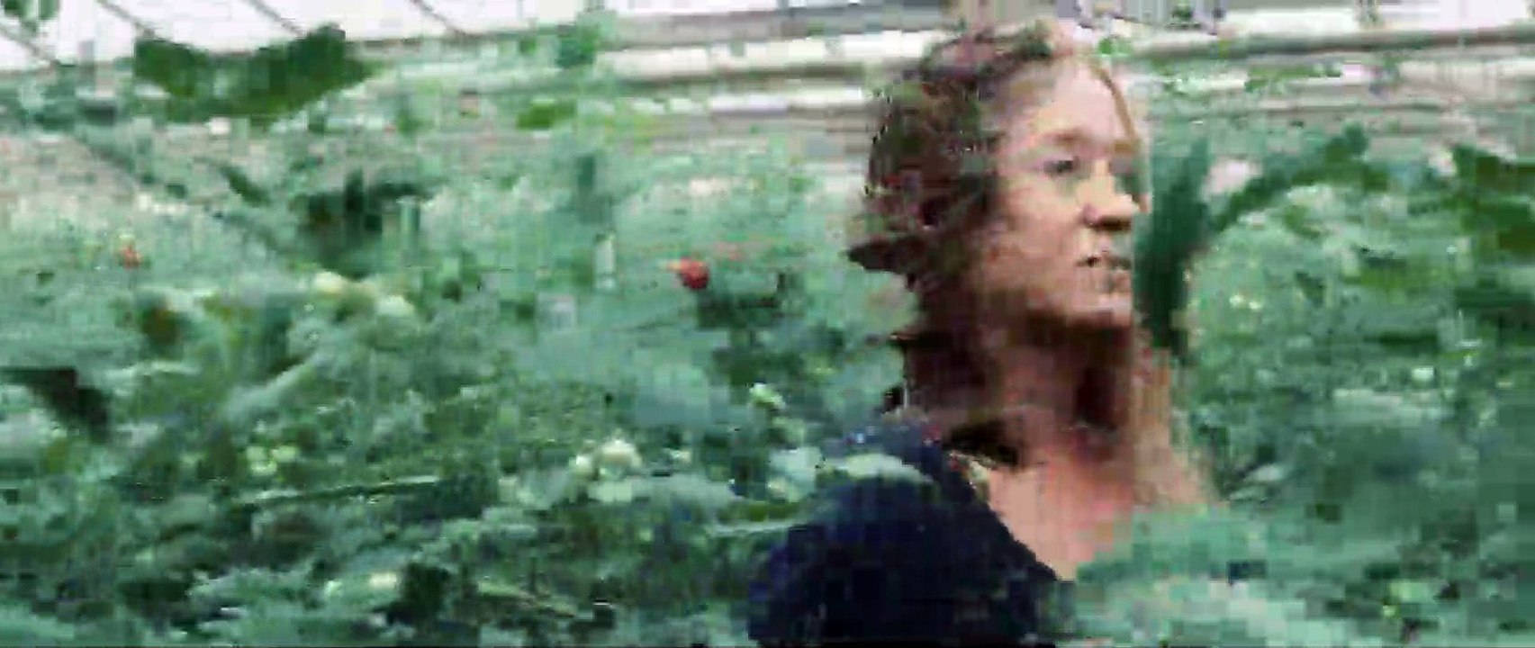 Endzeit - Die Zombieapokalypse Trailer DF