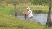Zapping du 24/11 : Un homme plonge pour sauver son chiot des crocs d'un alligator