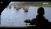 Vikings: Valhalla Trailer OmdU