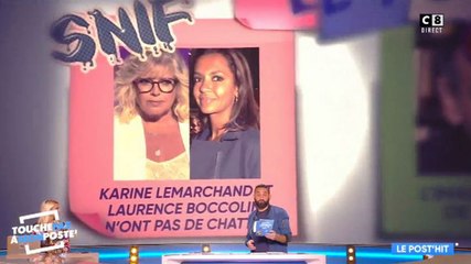 TPMP se moque de la "chatte" de Laurence Boccolini