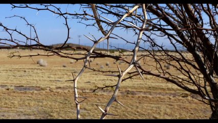 Barstow, California Trailer OV