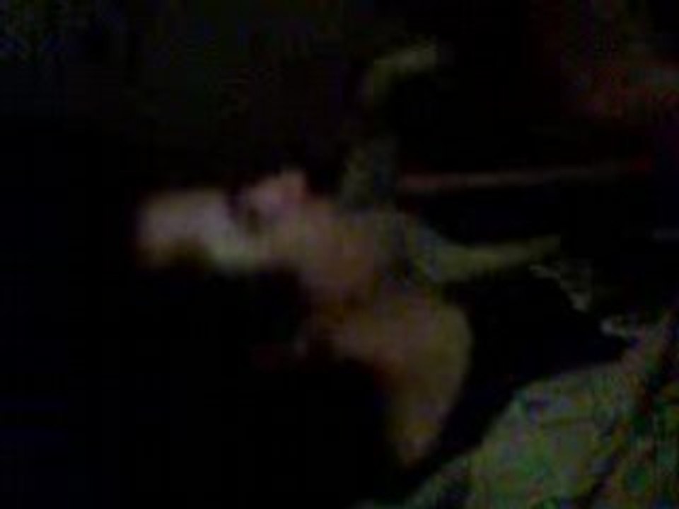 Video006