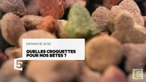 Quelles Croquettes pour nos bêtes - 08 10 17 - France 5