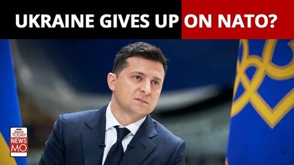Russia-Ukraine Crisis: Zelenskyy No Longer Pressing To Join Nato?