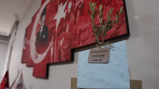 AK Parti Menteşe ilçe teşkilatı üyeleri çalışan kadınlara zeytin fidanı dağıttı