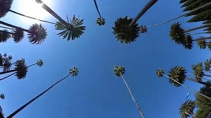 An L.A. Minute Trailer OV