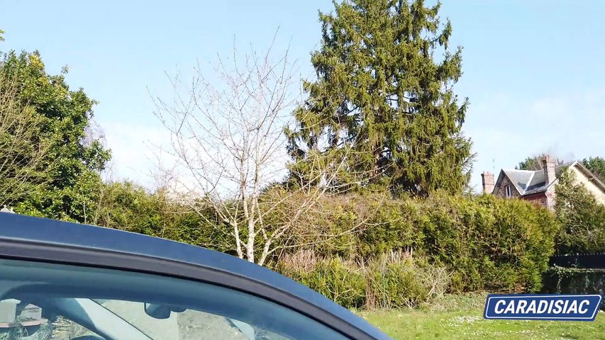 Voisin Skoda Octavia