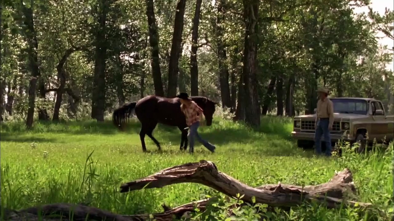 Heartland - Paradies für Pferde - staffel 8 Trailer DF