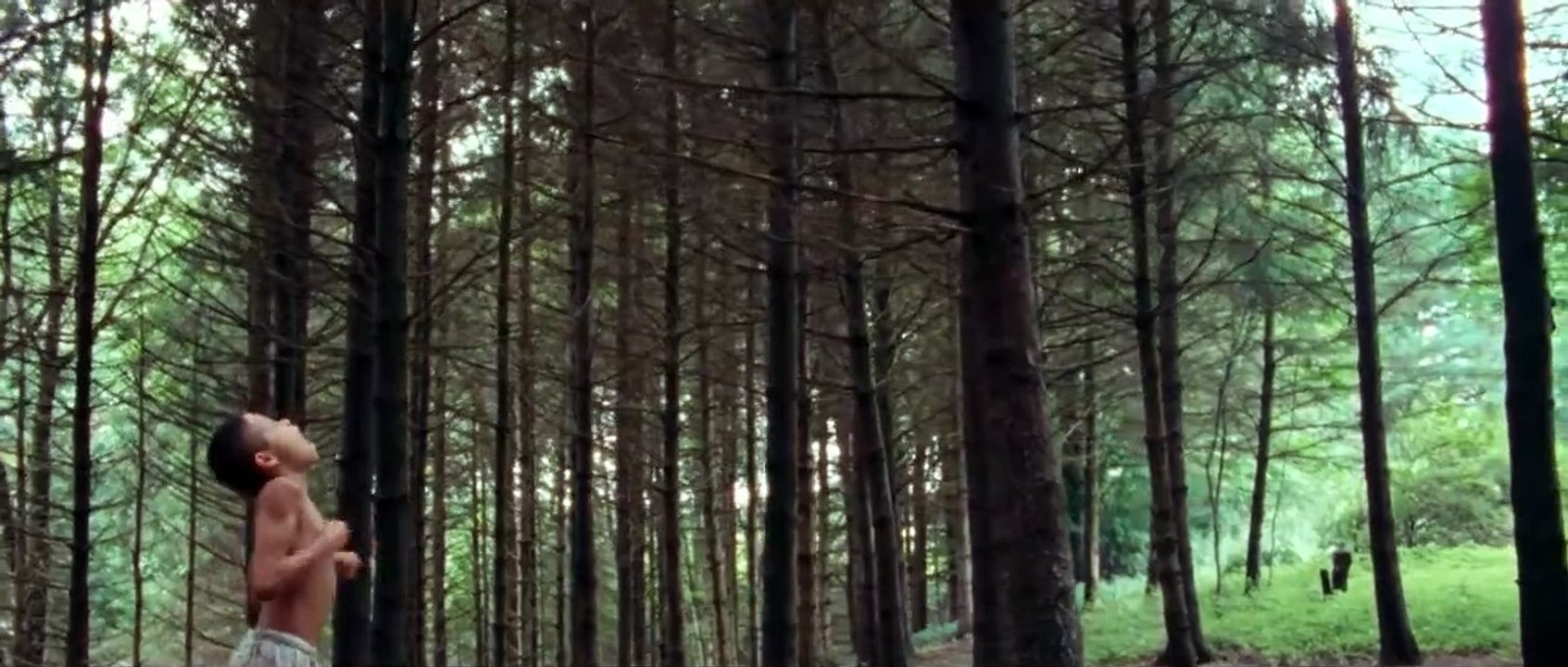 We The Animals Trailer OV