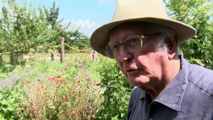 Aus Liebe zum Überleben Trailer DF