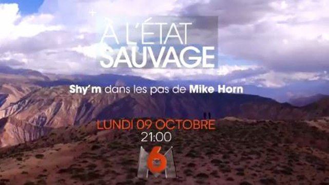 A l'état sauvage - Shy'm - 09 10 17 - M6