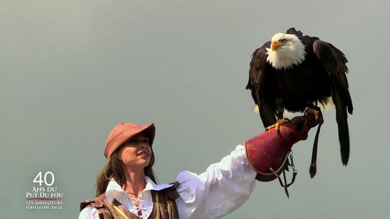 Les 40 ans du Puy du fou - M6