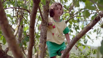 Fridas Sommer Trailer OmdU