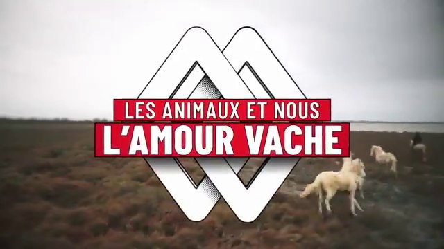 Martin Weill Les animaux et nous... (TMC) teaser