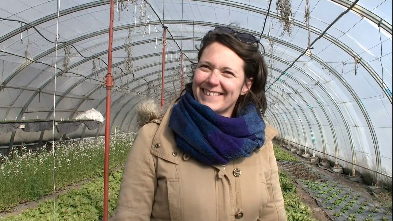 Sophie Rambaud