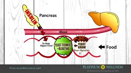 Platinum Wellness & Weight Loss: Help lowering your A1C and lose some weight