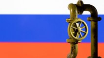كيف يؤثر الاقتصاد الروسي في التجارة العالمية؟