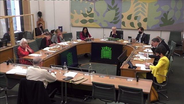 Former minister: Covid loan scheme was happy days for crooks