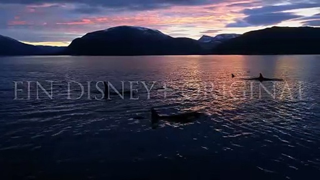 Die geheimnisvolle Welt der Wale Trailer DF