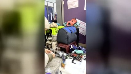 Una mujer huye de la guerra con su madre, su abuela y 14 perros