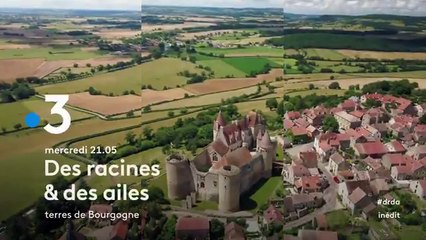 Des racines et des ailes (France 3) Terres de Bourgogne