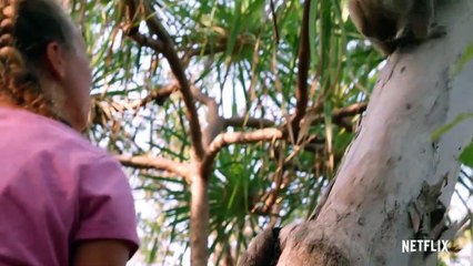 Izzy und die Koalas - staffel 2 Trailer OV