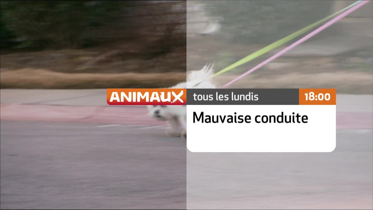 Mauvaise conduite - chaque lundi