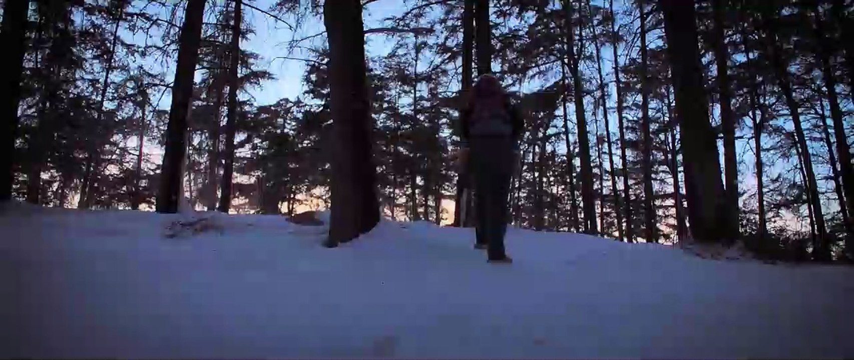 Destroyer Trailer DF