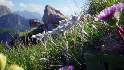 Heimat Natur Trailer DF