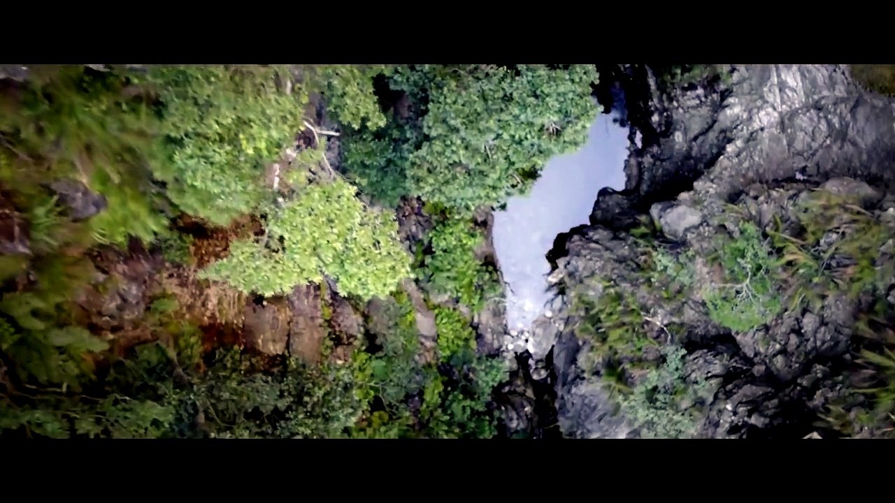 Don't Move - Halt still! Trailer DF