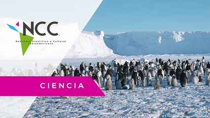 ¿Por qué la Antártida es tan importante para la ciencia?