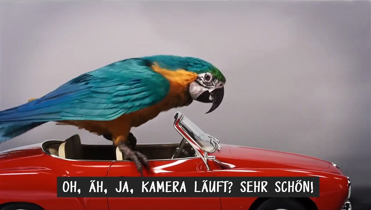 Die fantastische Reise des Dr. Dolittle Trailer (2) DF