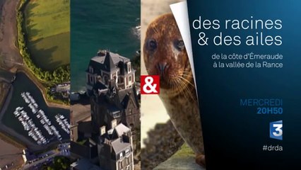 Des Racines et des Ailes - Côte d’émeraude - 16/09