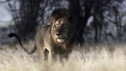 Le Roi bâtard  : Le coup de coeur de Télé 7