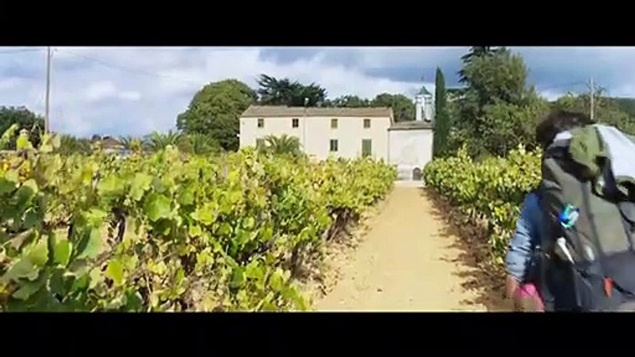 Chasing Wonders Trailer OV