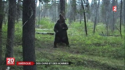 Zapping du 04/06 : Drôle de plaisir solitaire pour les ours