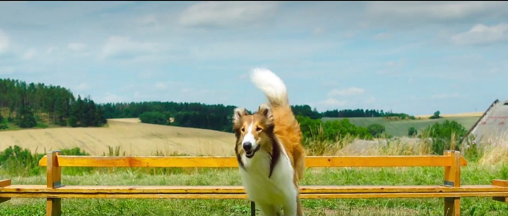 Lassie - Eine abenteuerliche Reise Trailer (3) DF