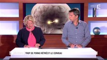 Zapping du 04/06 : Trop de porno rétrécit le cerveau !